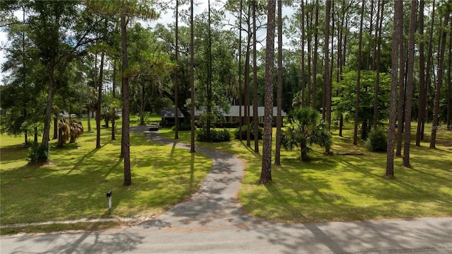 view of community featuring a yard