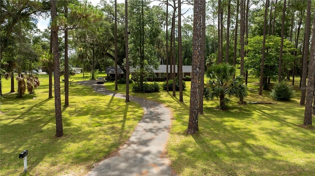 view of property's community featuring a lawn