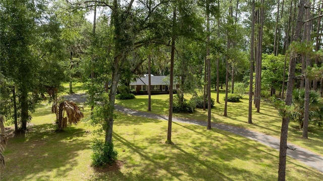 view of property's community featuring a yard