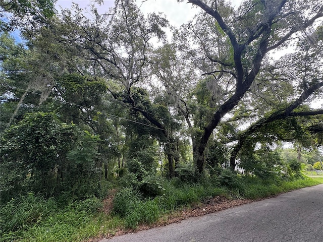 Leesburg Blvd, Fruitland Park, FL 34731
