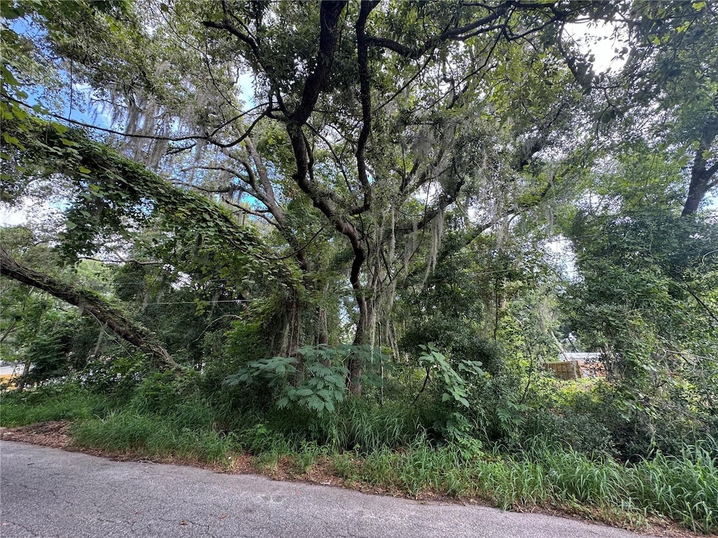 Leesburg Blvd, Fruitland Park, FL 34731