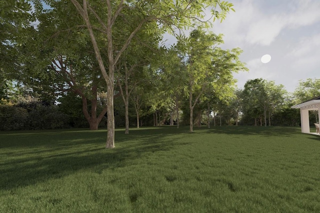 TBD Bay Dr, Ocklawaha, FL 32179 - view of yard
