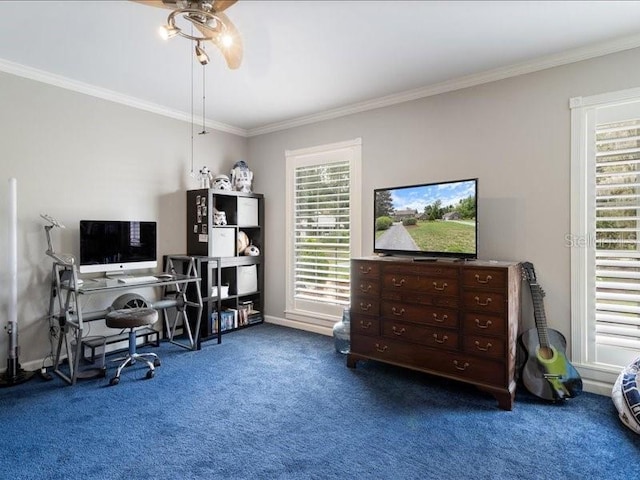 carpeted office with ceiling fan, plenty of natural light, and crown molding