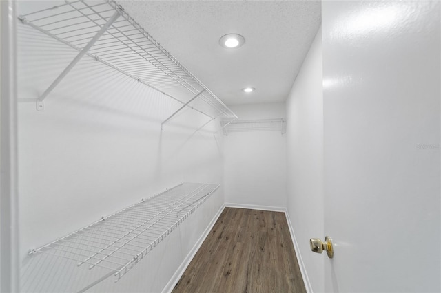 walk in closet with hardwood / wood-style floors