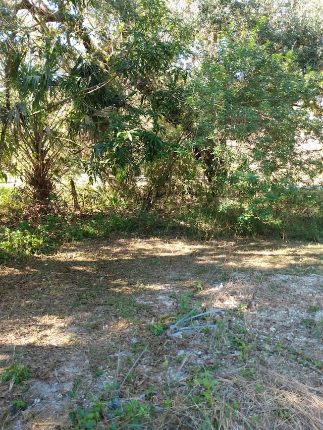 839 Caloosahatchee Ave, Labelle FL, 33935 land for sale