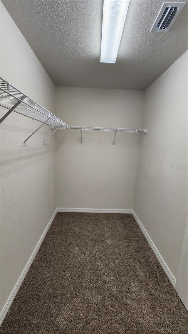 spacious closet with carpet floors