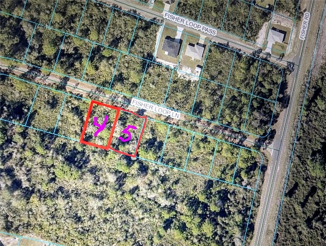 TBD Fisher Loop Ln, Ocklawaha FL, 32179 land for sale