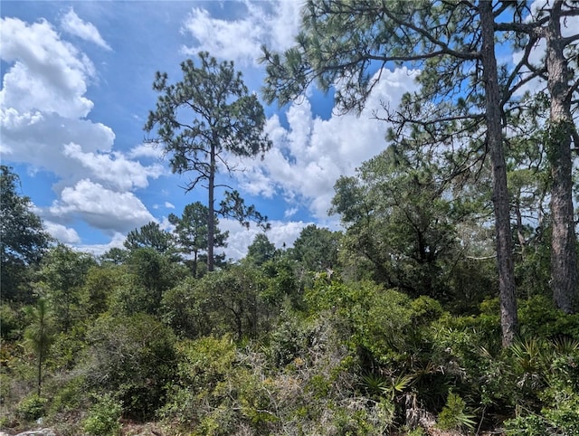 Listing photo 2 for TBD Fisher Loop Ln, Ocklawaha FL 32179