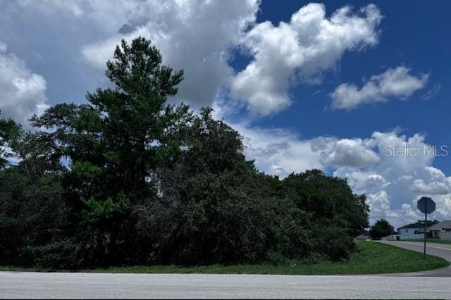 TBD SW 111th Pl, Ocala FL, 34476 land for sale