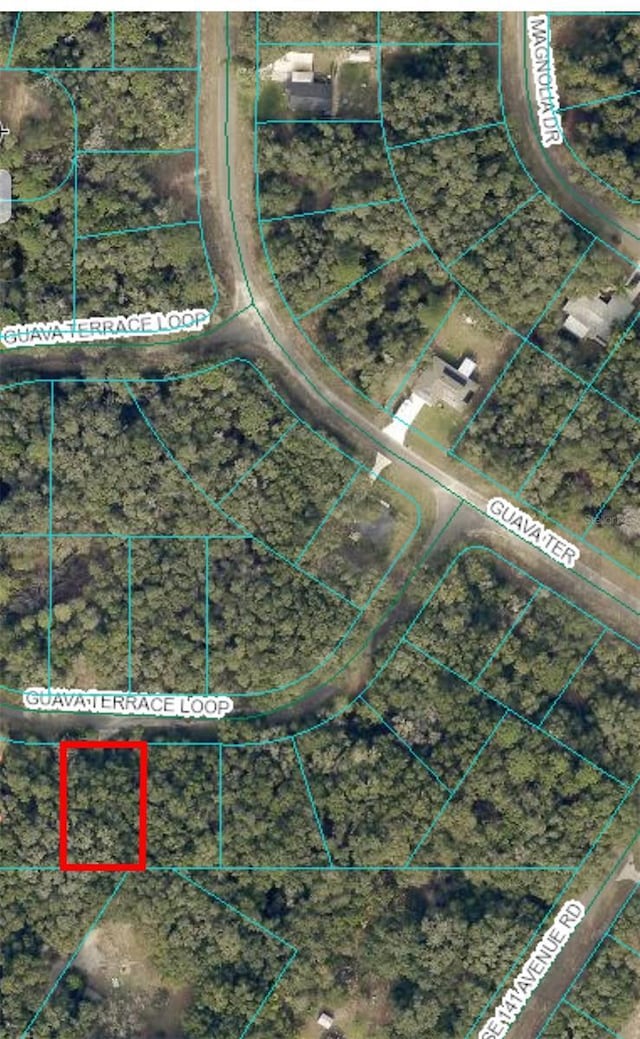 0 Guava Terrace Loop, Ocklawaha FL, 32179 land for sale