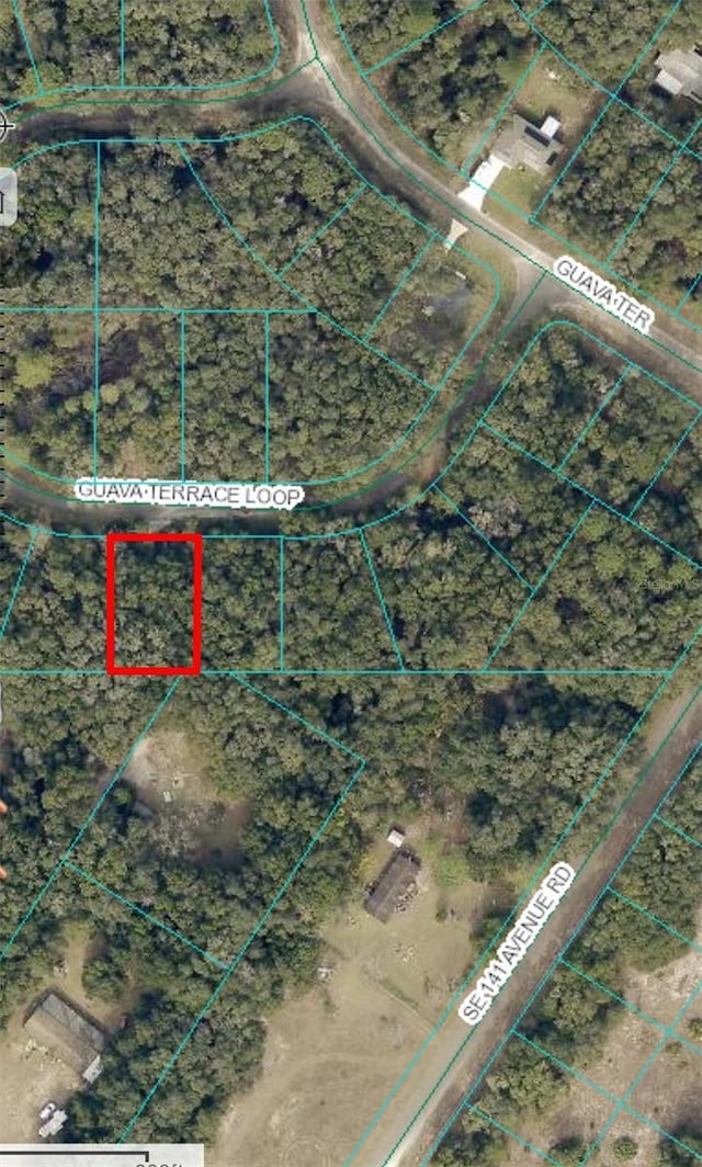 Listing photo 2 for 0 Guava Terrace Loop, Ocklawaha FL 32179