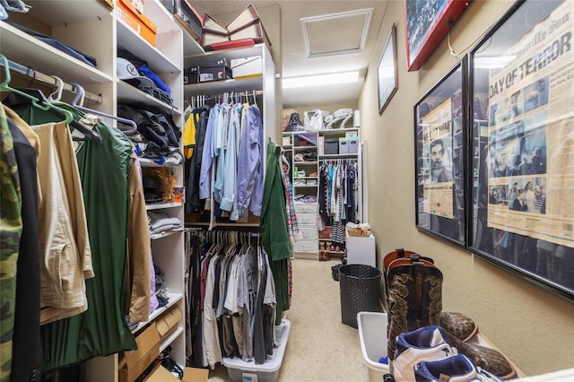 view of walk in closet