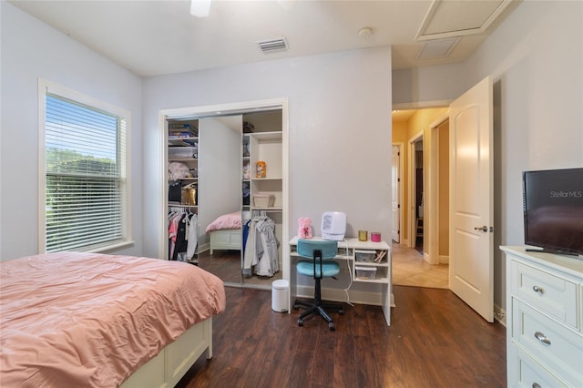 bedroom with dark hardwood / wood-style floors, a closet, and ceiling fan