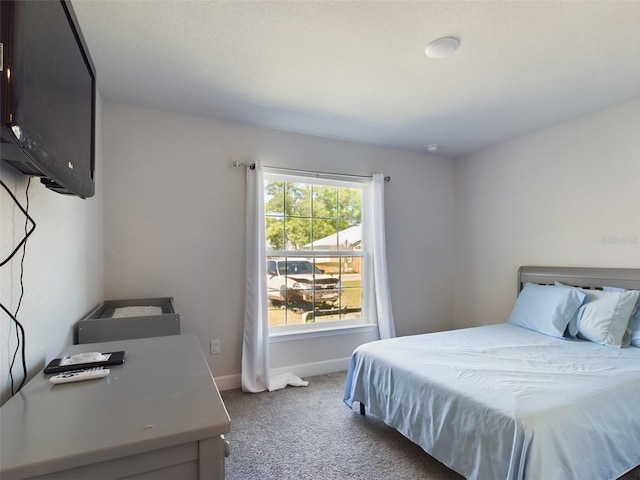 bedroom with dark carpet