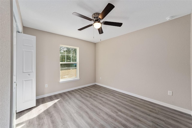 empty room with ceiling fan and light hardwood / wood-style flooring