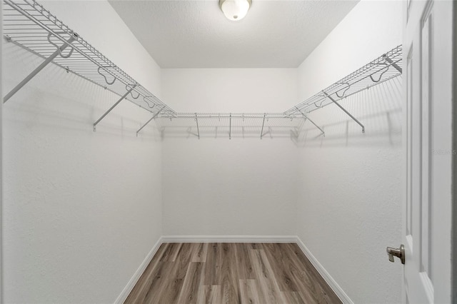 spacious closet with hardwood / wood-style flooring