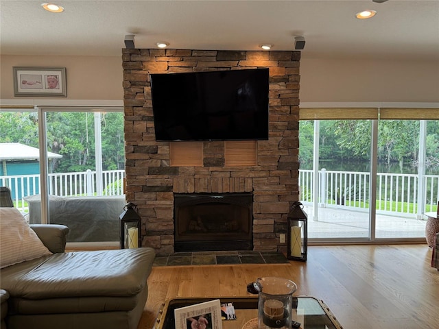 living room with a fireplace and wood-type flooring