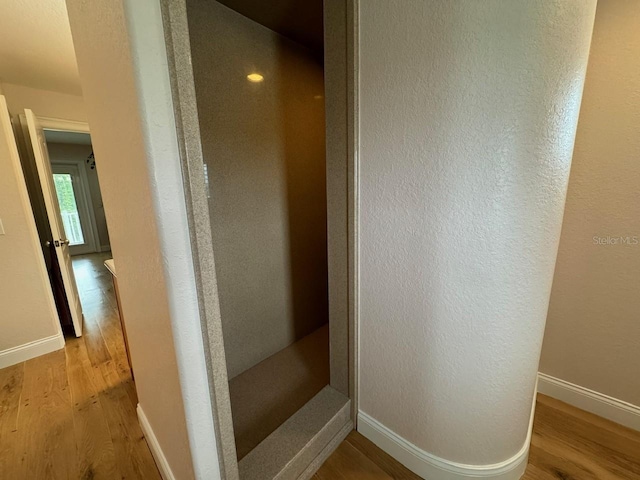 bathroom featuring wood-type flooring