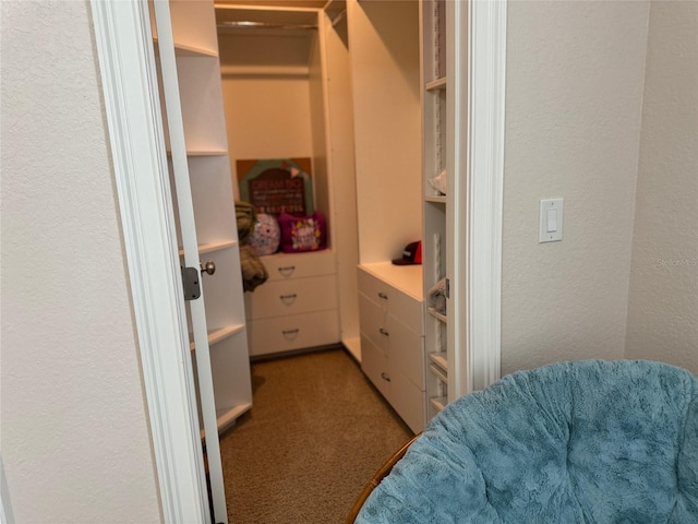 walk in closet with light colored carpet