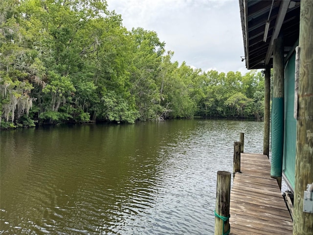 view of dock with a water view