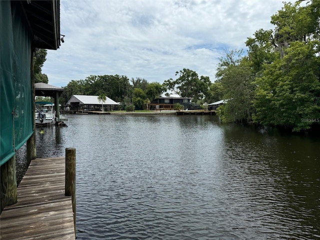 dock area with a water view