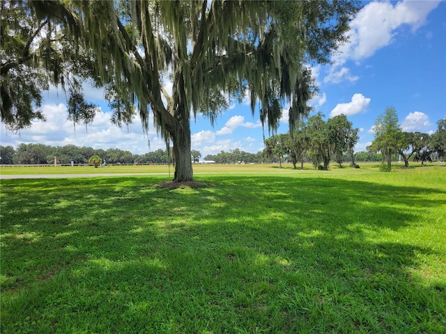 Listing photo 3 for 0 SE 61st Terrace Rd Unit 16, Summerfield FL 34491