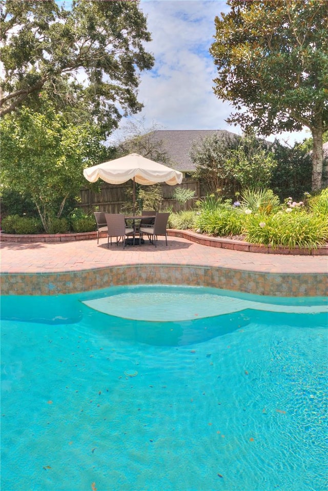 view of swimming pool with a patio