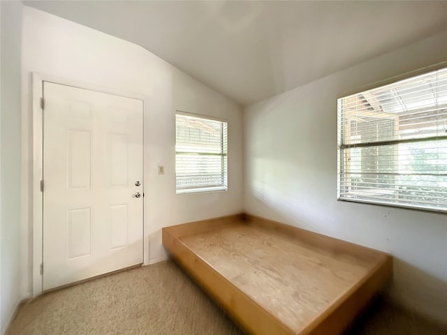 foyer featuring vaulted ceiling and carpet flooring