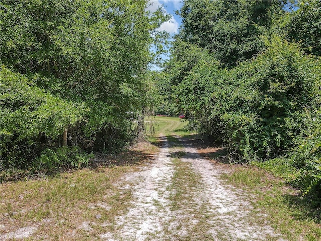 5401 SE 162nd St Unit 32, Summerfield, FL 34491 - photo 53