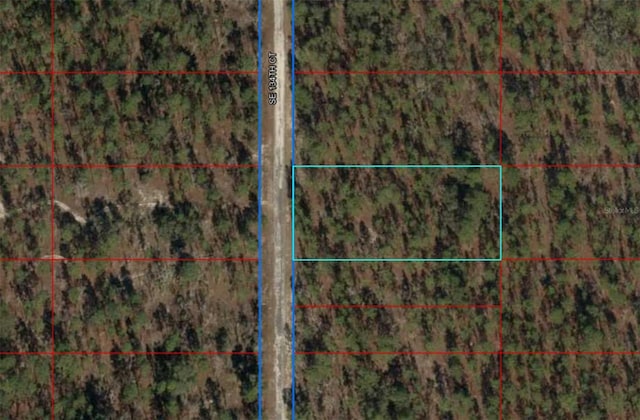 00 SE 134th Ct, Dunnellon FL, 34431 land for sale