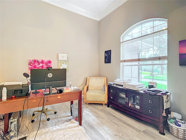 office featuring ornamental molding and light hardwood / wood-style flooring