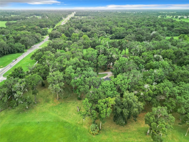 aerial view