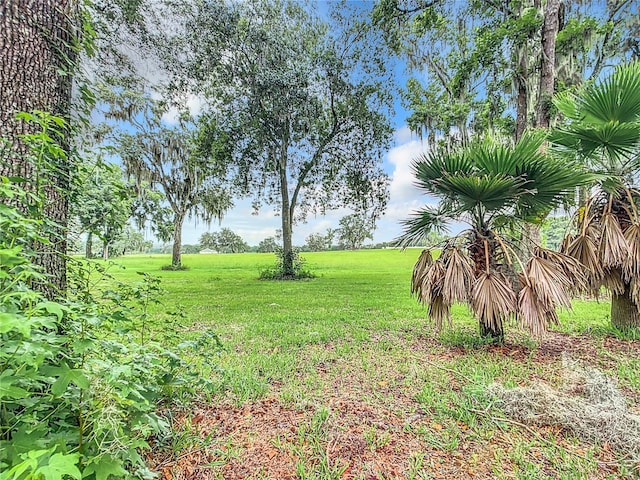 6615 SE 158th Pl Unit 6, Summerfield, FL 34491 - photo 49