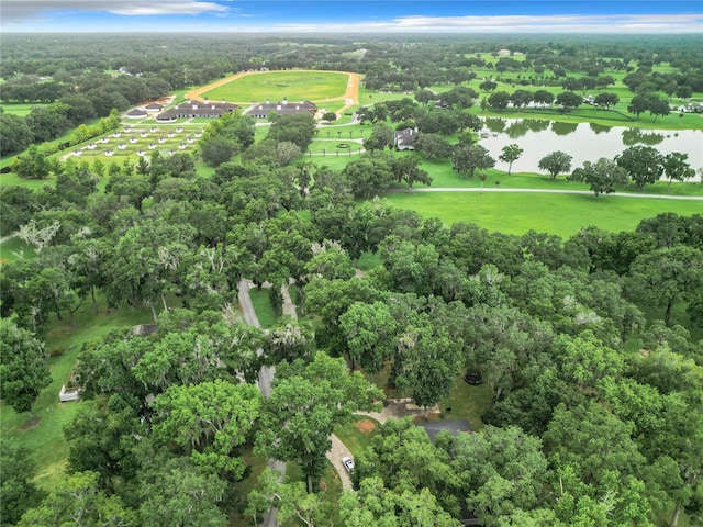 6615 SE 158th Pl Unit 6, Summerfield, FL 34491 - photo 52