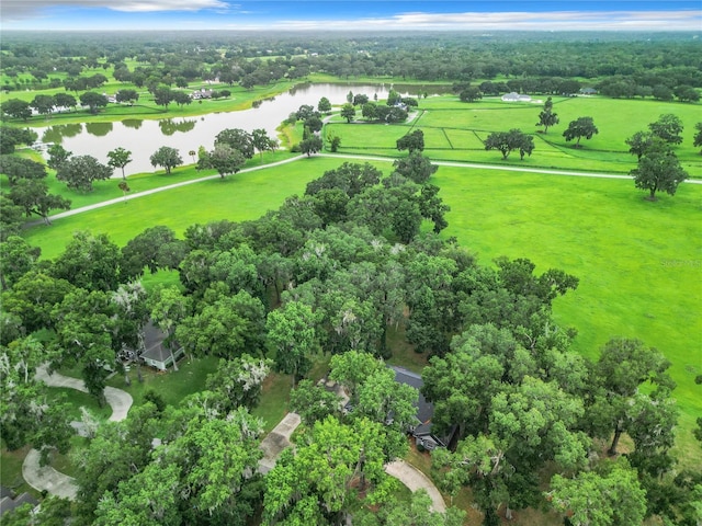 6615 SE 158th Pl Unit 6, Summerfield, FL 34491 - photo 60