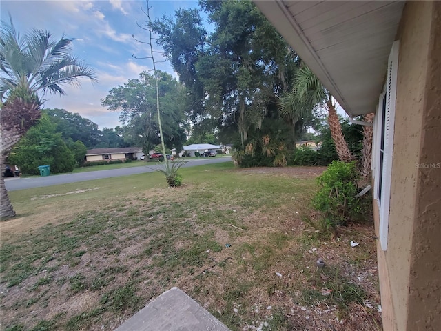 view of yard at dusk