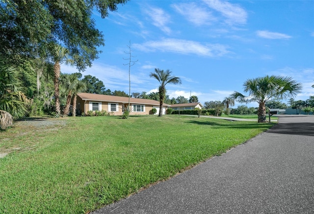 single story home featuring a front lawn