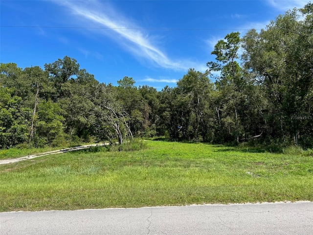 TBD E Levy St, Williston FL, 32696 land for sale