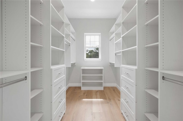 walk in closet featuring light hardwood / wood-style flooring