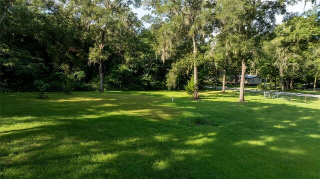 Listing photo 3 for 4449 NE 140th Ct, Williston FL 32696