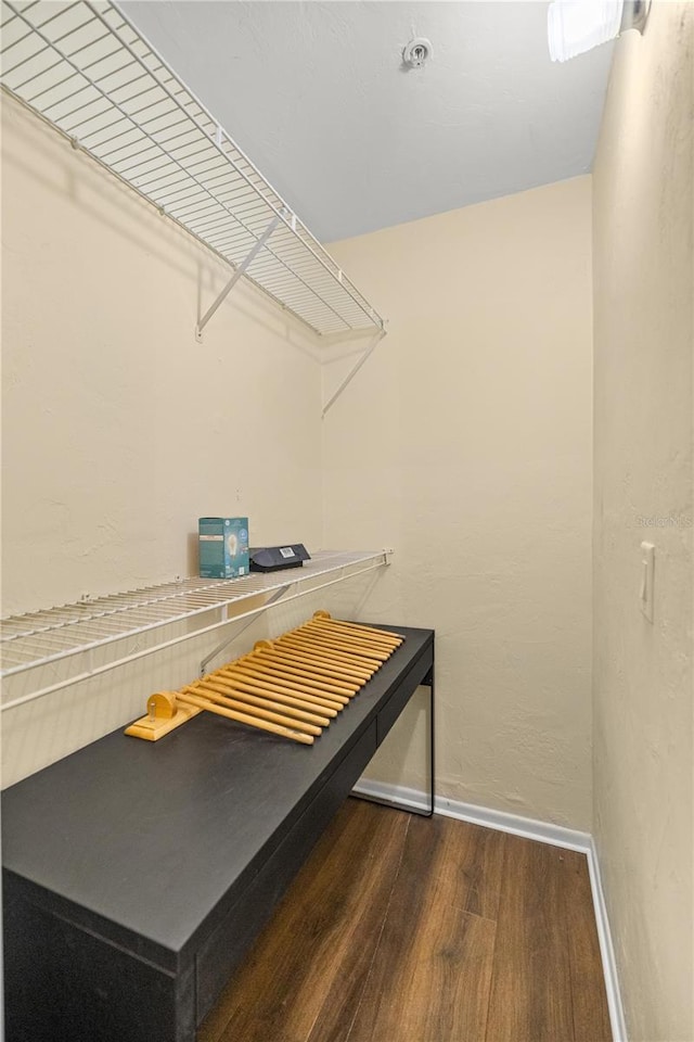 walk in closet featuring dark hardwood / wood-style flooring