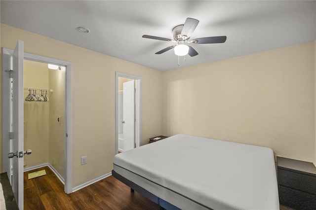 bedroom with a walk in closet, dark wood-type flooring, and ceiling fan