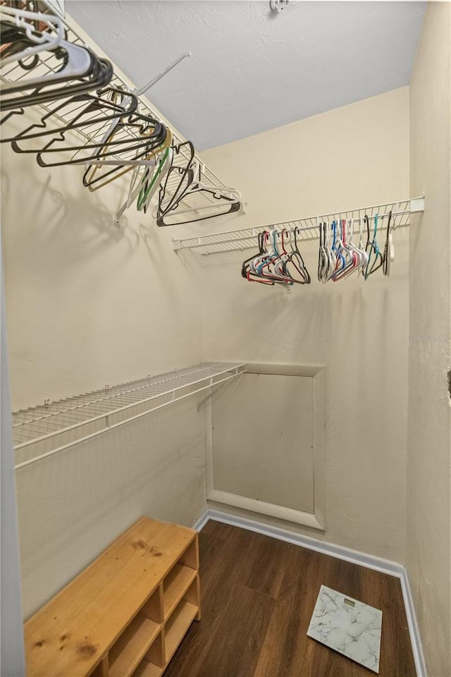 walk in closet with dark wood-type flooring