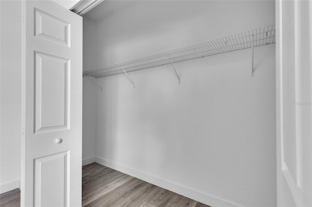 walk in closet with hardwood / wood-style floors