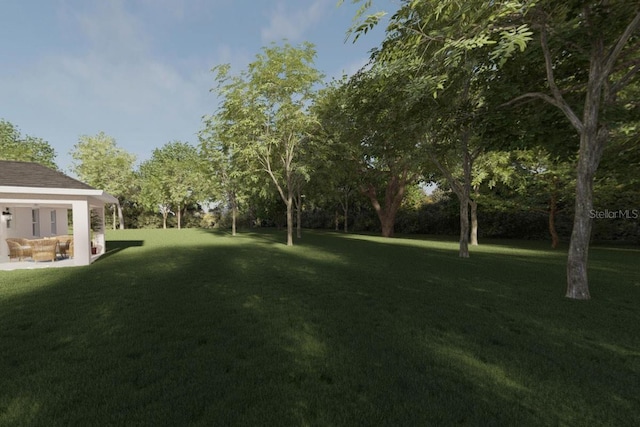 TBD Bay Court, Ocklawaha, FL 32179 - view of yard with a patio area