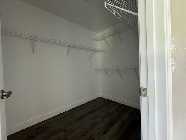 walk in closet with dark wood-type flooring