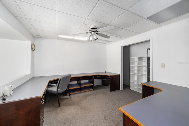 office space with built in desk, ceiling fan, a drop ceiling, and carpet floors