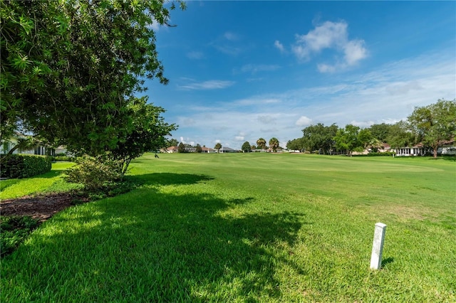 view of community with a lawn