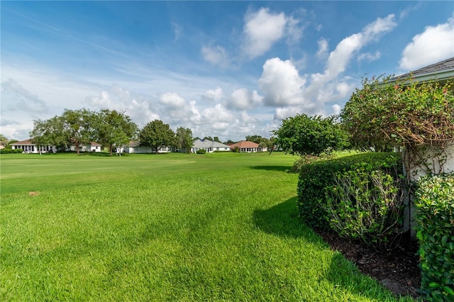 view of home's community with a lawn