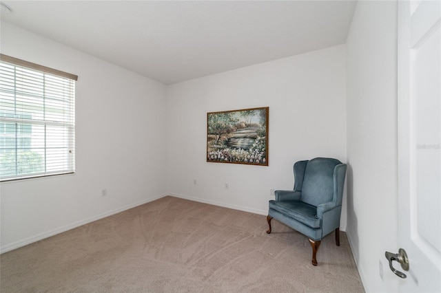 sitting room featuring light carpet